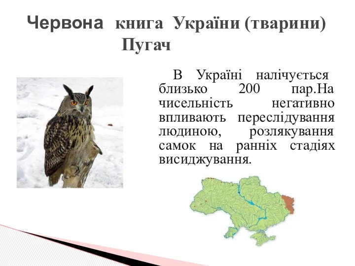 Червона книга України (тварини) Пугач В Україні налічується близько 200