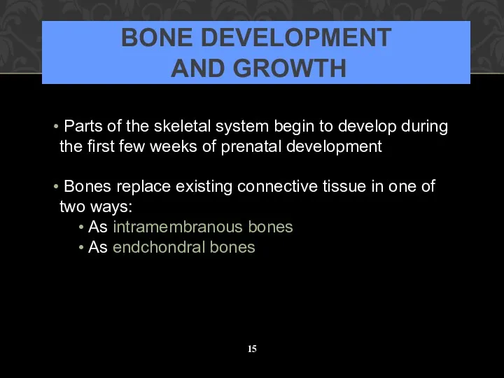 BONE DEVELOPMENT AND GROWTH Parts of the skeletal system begin