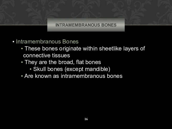 INTRAMEMBRANOUS BONES Intramembranous Bones These bones originate within sheetlike layers