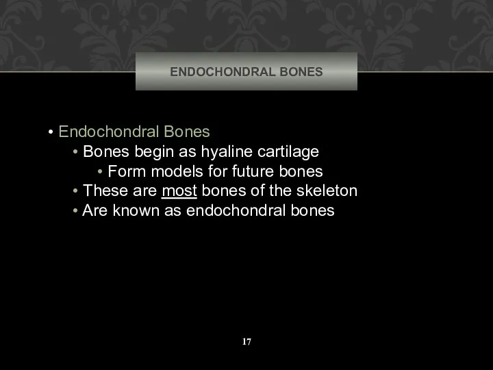 ENDOCHONDRAL BONES Endochondral Bones Bones begin as hyaline cartilage Form