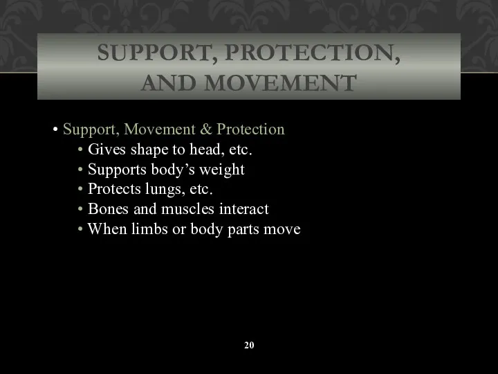 SUPPORT, PROTECTION, AND MOVEMENT Support, Movement & Protection Gives shape