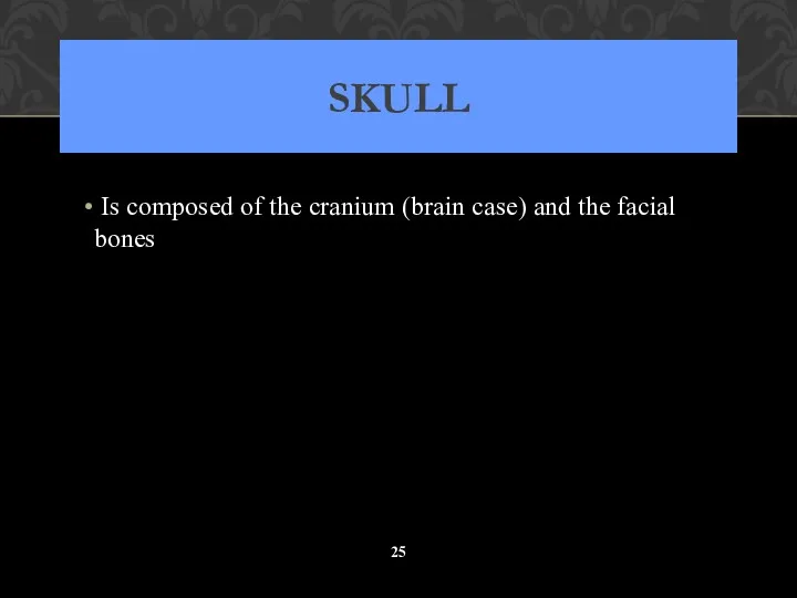 SKULL Is composed of the cranium (brain case) and the facial bones