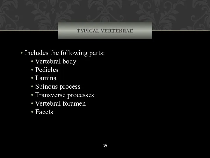 TYPICAL VERTEBRAE Includes the following parts: Vertebral body Pedicles Lamina