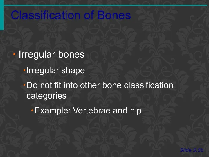 Classification of Bones Slide 5.5b Irregular bones Irregular shape Do