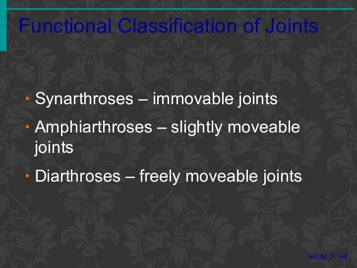 Functional Classification of Joints Slide 5.44 Synarthroses – immovable joints