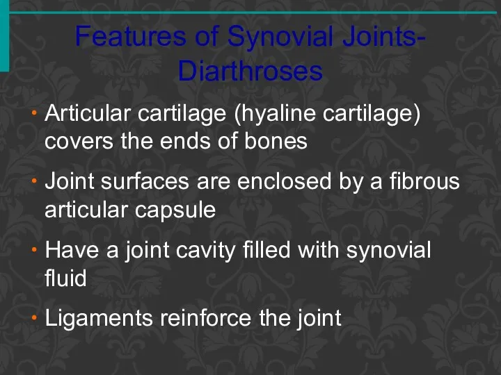 Features of Synovial Joints- Diarthroses Articular cartilage (hyaline cartilage) covers