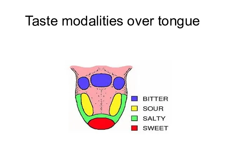 Taste modalities over tongue