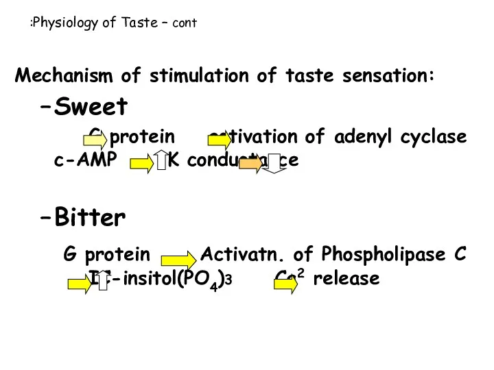 Mechanism of stimulation of taste sensation: Sweet G protein activation