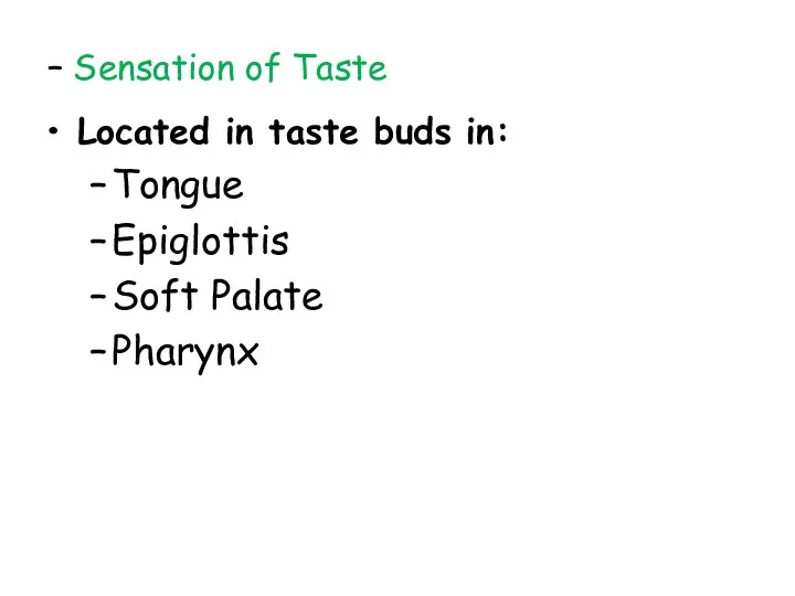 Located in taste buds in: Tongue Epiglottis Soft Palate Pharynx Sensation of Taste –