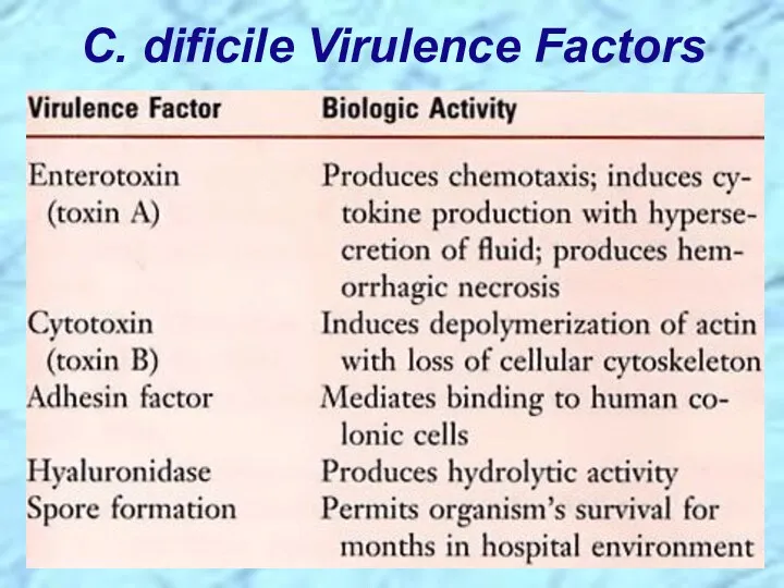 C. dificile Virulence Factors