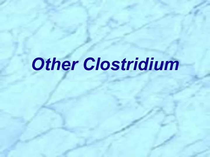 Other Clostridium