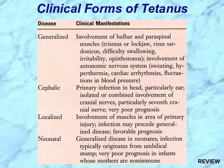 Clinical Forms of Tetanus REVIEW