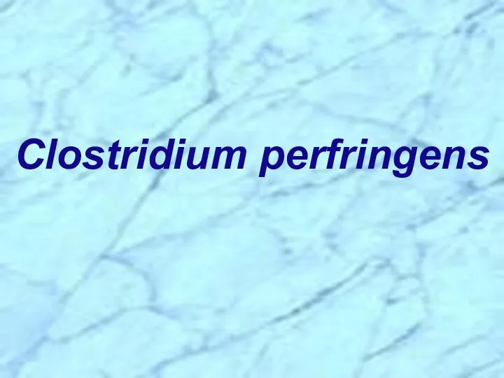 Clostridium perfringens