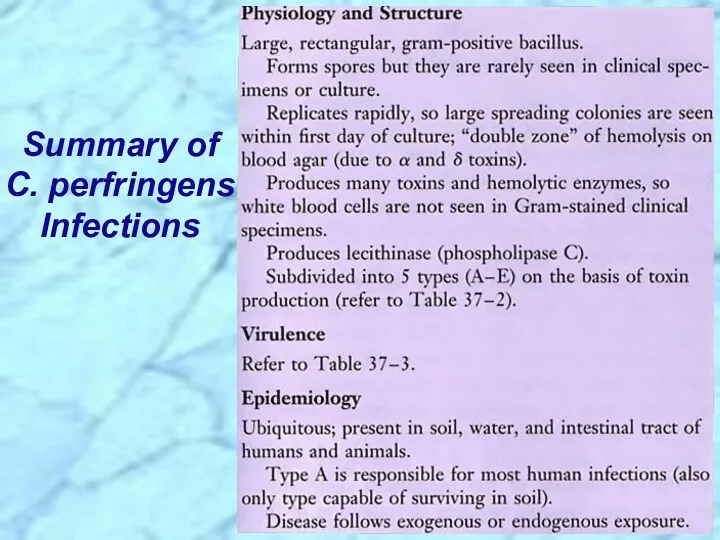 Summary of C. perfringens Infections