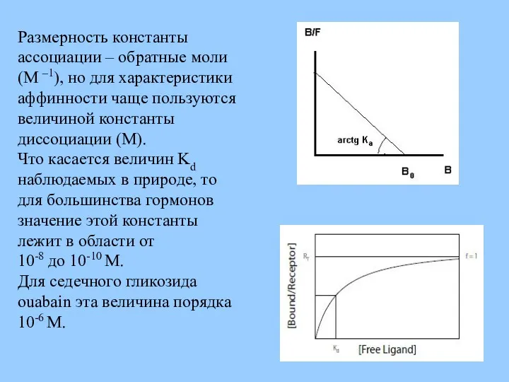 Размерность константы ассоциации – обратные моли (M –1), но для