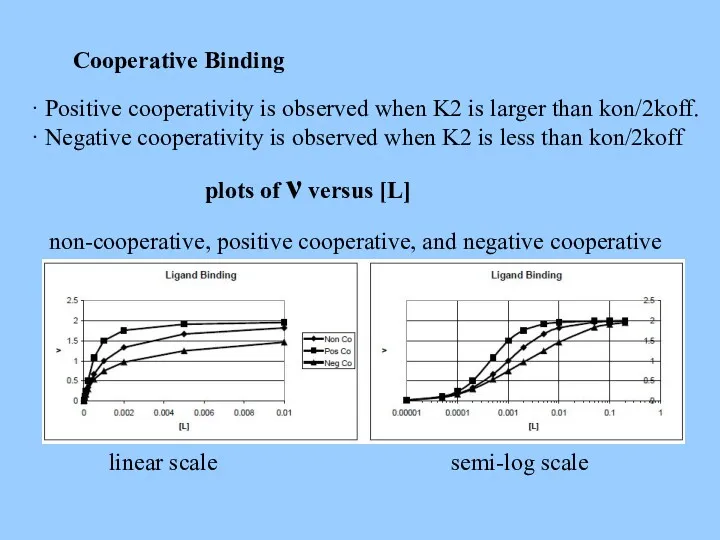 Cooperative Binding · Positive cooperativity is observed when K2 is