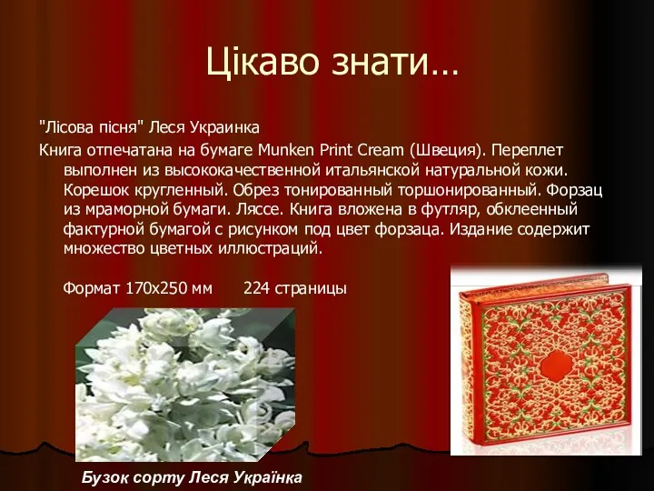 Цікаво знати… "Лісова пісня" Леся Украинка Книга отпечатана на бумаге
