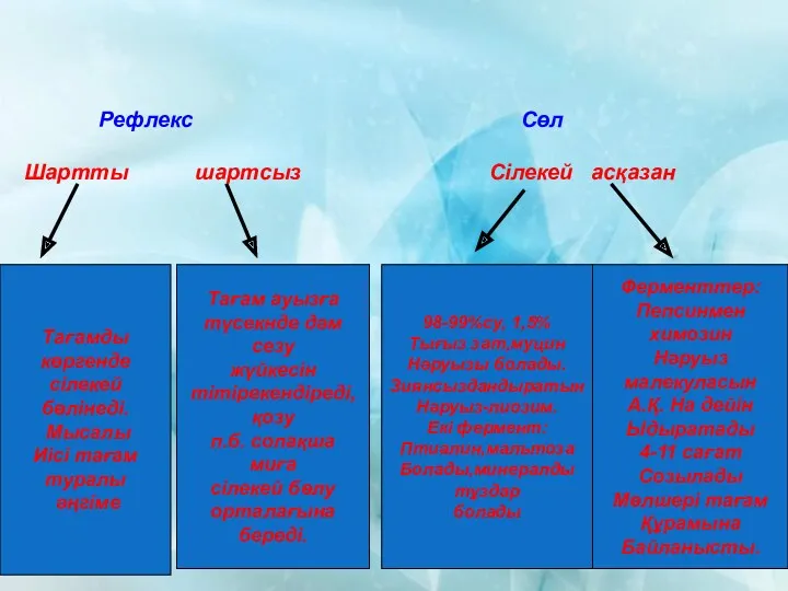 Рефлекс Сөл Шартты шартсыз Сілекей асқазан Тағамды көргенде сілекей бөлінеді.
