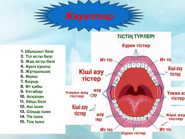 Жауаптар