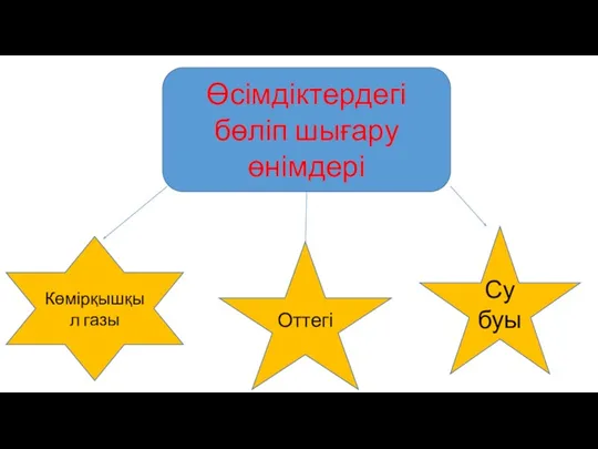 Өсімдіктердегі бөліп шығару өнімдері Көмірқышқыл газы Оттегі Су буы