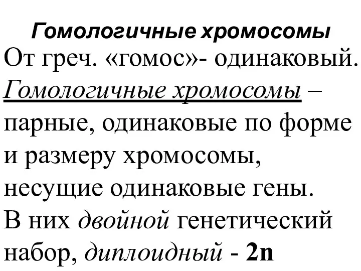 Гомологичные хромосомы От греч. «гомос»- одинаковый. Гомологичные хромосомы – парные,