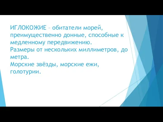 ИГЛОКОЖИЕ – обитатели морей, преимущественно донные, способные к медленному передвижению.