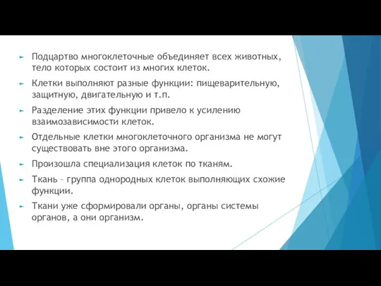 Подцартво многоклеточные объединяет всех животных, тело которых состоит из многих