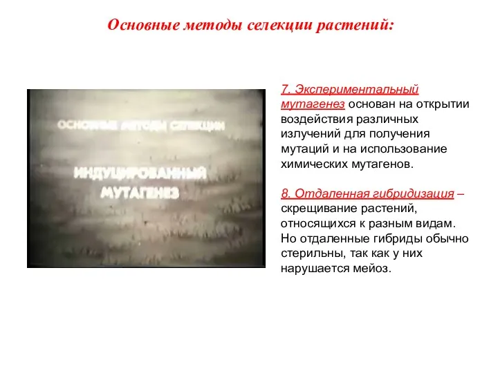 7. Экспериментальный мутагенез основан на открытии воздействия различных излучений для