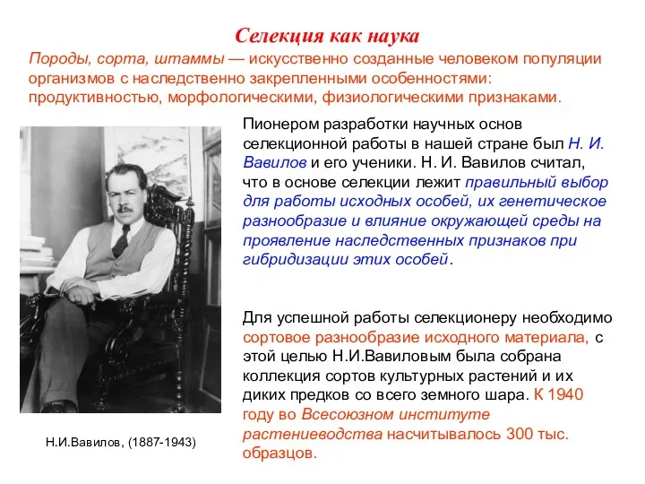 Породы, сорта, штаммы — искусственно созданные человеком популяции организмов с