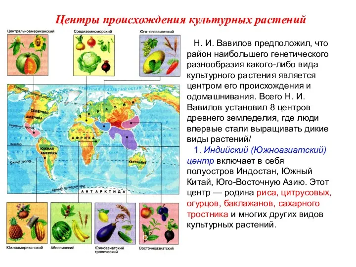 Н. И. Вавилов предположил, что район наибольшего генетического разнообразия какого-либо