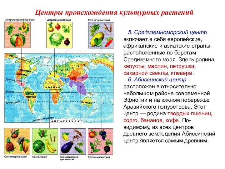 5. Средиземноморский центр включает в себя европейские, африканские и азиатские