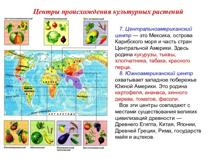 7. Центральноамериканский центр — это Мексика, острова Карибского моря и