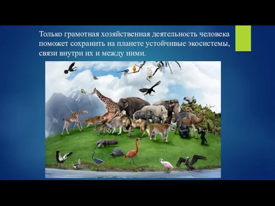 Только грамотная хозяйственная деятельность человека поможет сохранить на планете устойчивые