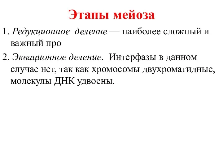 Этапы мейоза 1. Редукционное деление — наиболее сложный и важный