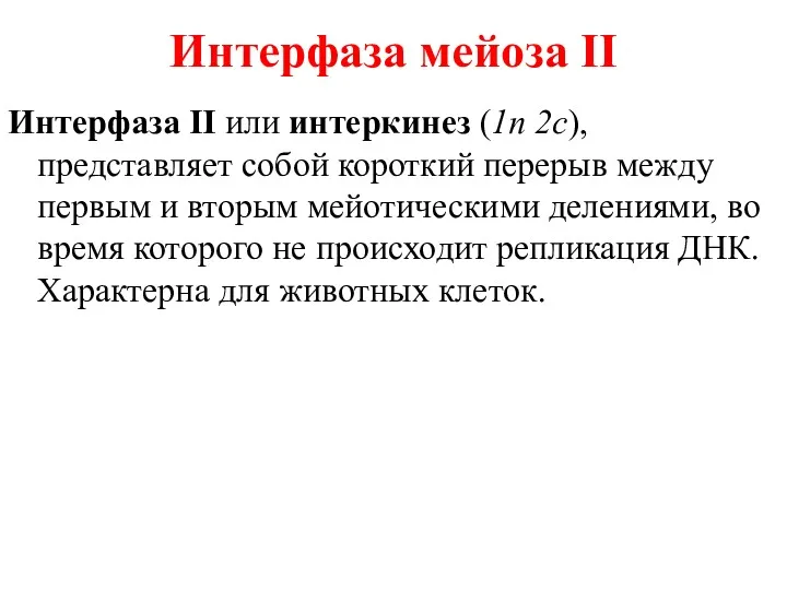 Интерфаза мейоза II Интерфаза II или интеркинез (1n 2c), представляет