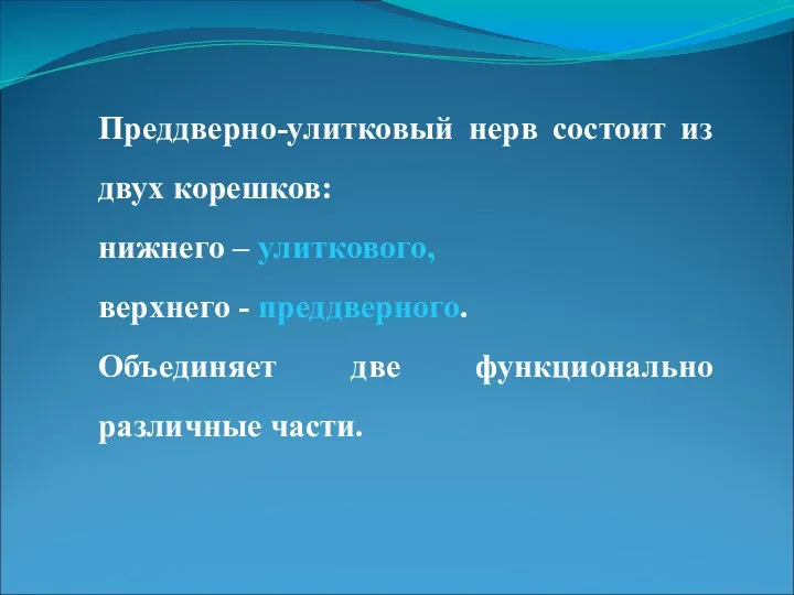 Преддверно-улитковый нерв состоит из двух корешков: нижнего – улиткового, верхнего