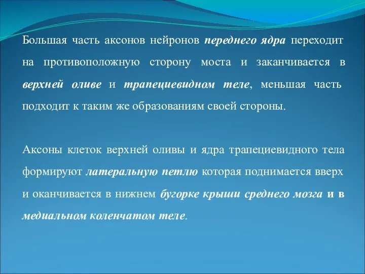 Большая часть аксонов нейронов переднего ядра переходит на противоположную сторону