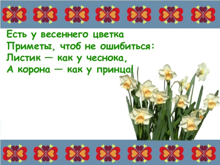 Есть у весеннего цветка Приметы, чтоб не ошибиться: Листик —