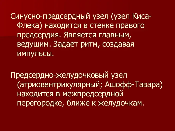 Синусно-предсердный узел (узел Киса-Флека) находится в стенке правого предсердия. Является