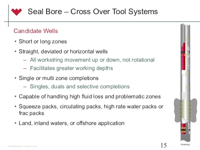 Seal Bore – Cross Over Tool Systems Candidate Wells Short