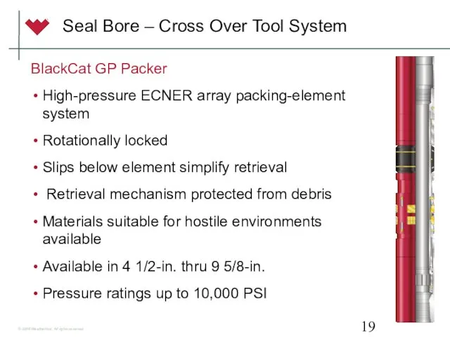 Seal Bore – Cross Over Tool System BlackCat GP Packer