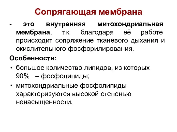 - это внутренняя митохондриальная мембрана, т.к. благодаря её работе происходит