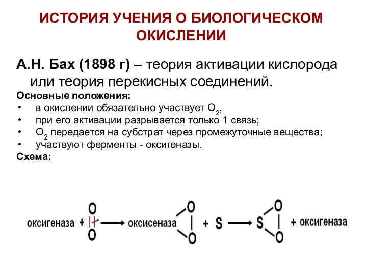 ИСТОРИЯ УЧЕНИЯ О БИОЛОГИЧЕСКОМ ОКИСЛЕНИИ А.Н. Бах (1898 г) –