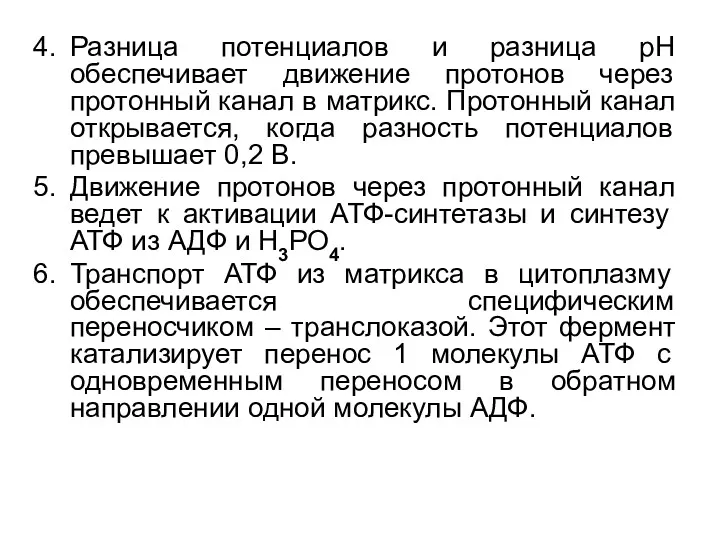 Разница потенциалов и разница рН обеспечивает движение протонов через протонный