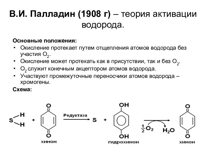 В.И. Палладин (1908 г) – теория активации водорода. Основные положения: