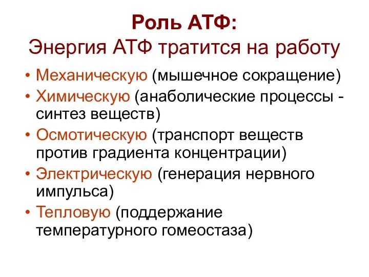 Роль АТФ: Энергия АТФ тратится на работу Механическую (мышечное сокращение)