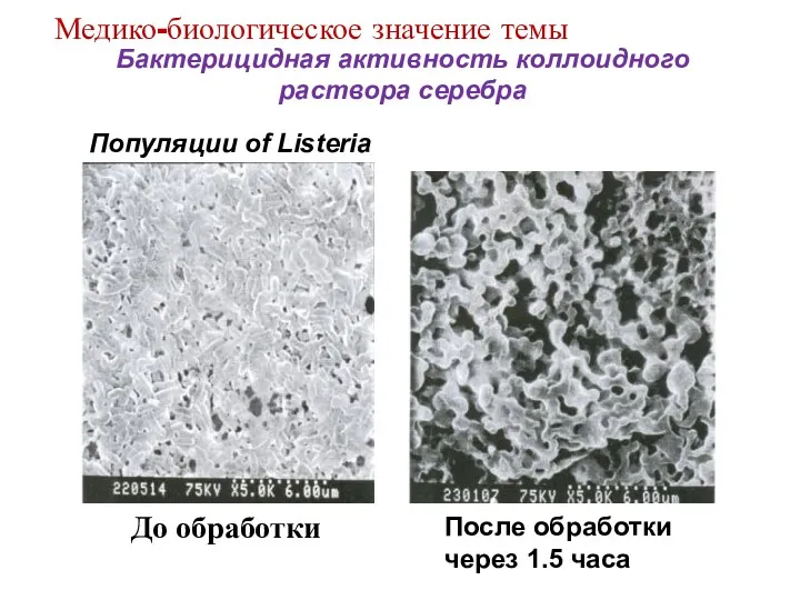 Бактерицидная активность коллоидного раствора серебра Популяции of Listeria После обработки