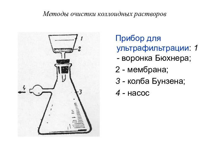 Методы очистки коллоидных растворов Прибор для ультрафильтрации: 1 - воронка