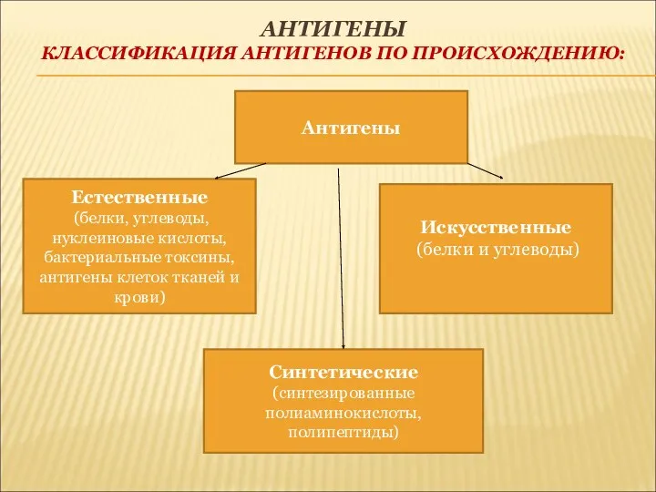 АНТИГЕНЫ КЛАССИФИКАЦИЯ АНТИГЕНОВ ПО ПРОИСХОЖДЕНИЮ: Антигены Естественные (белки, углеводы, нуклеиновые