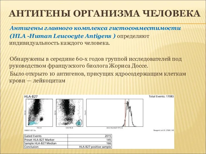 АНТИГЕНЫ ОРГАНИЗМА ЧЕЛОВЕКА Антигены главного комплекса гистосовместимости (HLA -Human Leucocyte